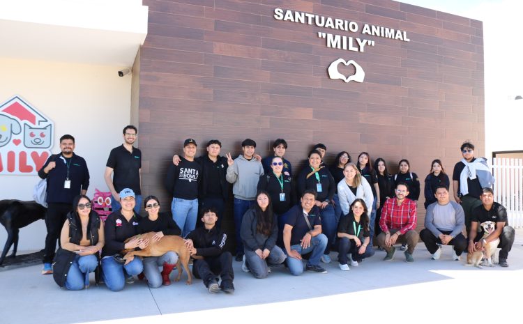  CUT realiza jornada de voluntariado en el Santuario Animal Milly